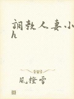 调教人妻小说高h封面