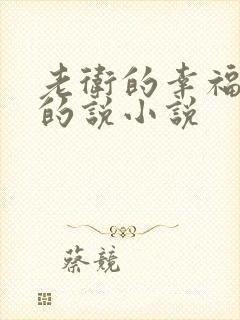 老卫的幸福晚年的说小说封面