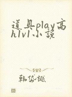 道具play高h1v1小说封面