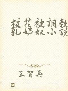 校花被调教成大乳奶奴小说封面