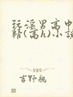 玩淫男高中生榨精(高h)小说