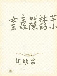 女主叫林芊芊男主姓陈的小说