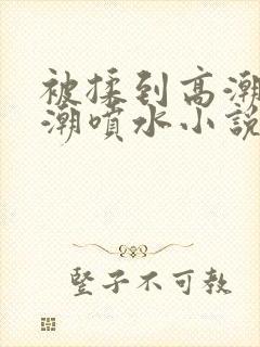 被揉到高潮失禁潮喷水小说