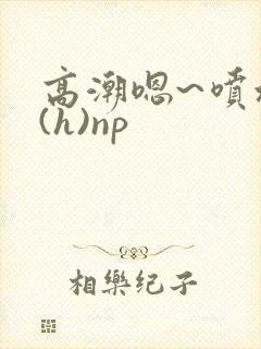 高潮嗯~喷水了(h)np