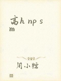 高h np sm封面