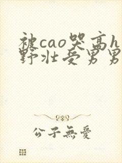 被cao哭高h野壮受男男小说