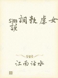 sm调教虐女小说