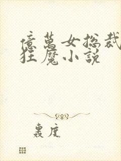 亿万女总裁护夫狂魔小说