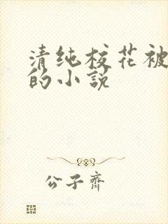 清纯校花被调教的小说封面