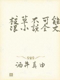 校草不可能这么浪小说全文免费阅读