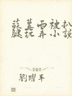 苏暮雨被扒开双腿玩弄小说