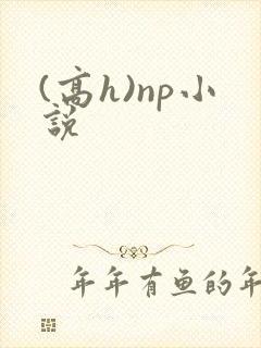 (高h)np小说