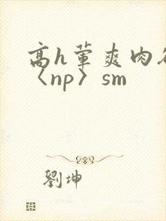 高h荤爽肉欲文〈np〉sm