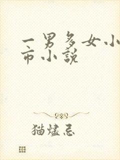 一男多女小说都市小说