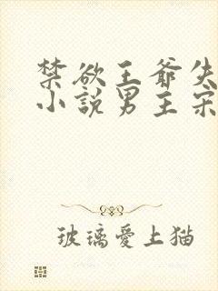 禁欲王爷失控了小说男主宋持的小说