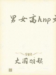 男女高hnp文