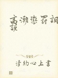 高潮惩罚调教小说