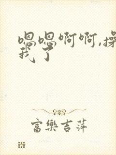 嗯嗯啊啊,操死我了封面