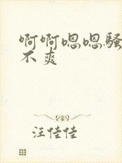 啊啊嗯嗯骚货爽不爽