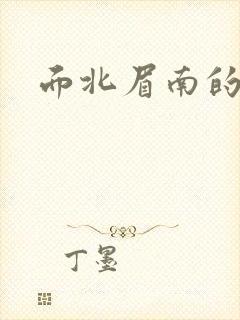 面北眉南的小说