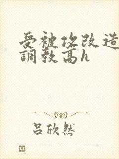 受被攻改造身体调教高h封面