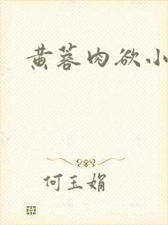 黄蓉肉欲小说封面