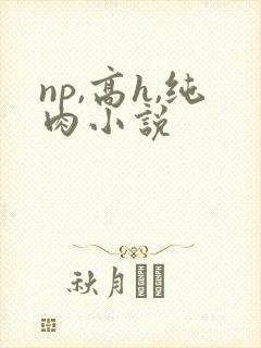 np,高h,纯肉小说
