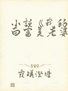 小说《我的总裁白富美老婆》