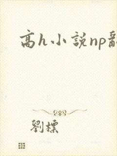 高h小说np乱封面