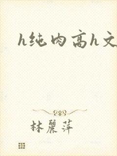 h纯肉高h文