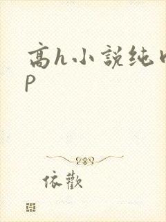 高h小说纯肉np