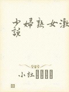 少妇熟女激情小说