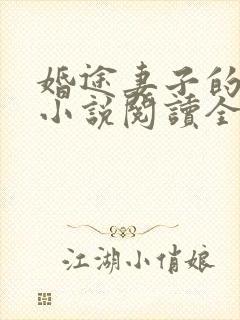 婚途妻子的秘密小说阅读全文封面