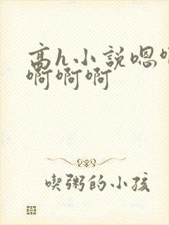 高h小说嗯啊哈啊啊啊