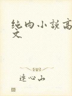 纯肉小说高h辣文