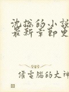 沈总的小说全文最新章节更新