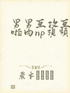 男男互攻互受h啪肉np视频