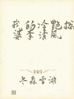 我的冷艳总裁老婆李清风