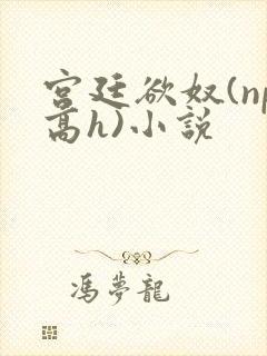 宫廷欲奴(np高h)小说