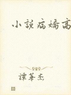 小说病娇高h封面