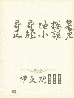 哥哥他总是假装正经小说免费阅读