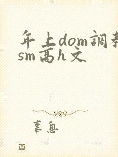 年上dom调教sm高h文