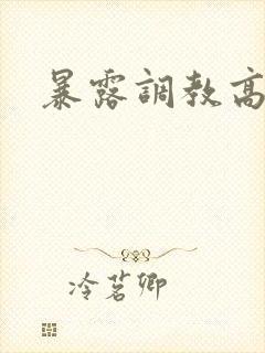 暴露调教高h文
