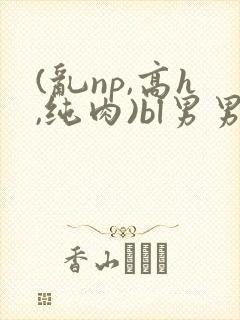 (乱np,高h,纯肉)bl男男