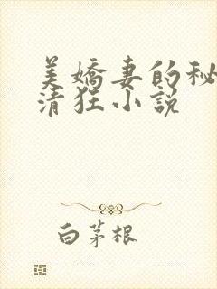 美娇妻的秘密李清狂小说