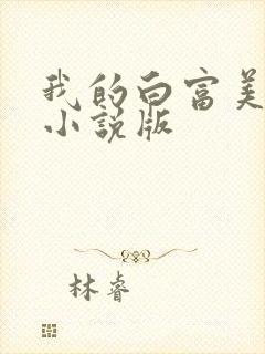 我的白富美老婆小说版封面