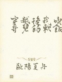 穿越后我吃到了哥儿的软饭炉山灰