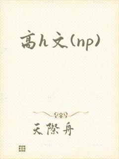 高h文(np)