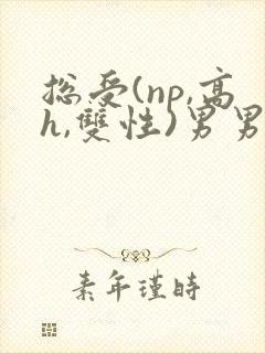 总受(np,高h,双性)男男