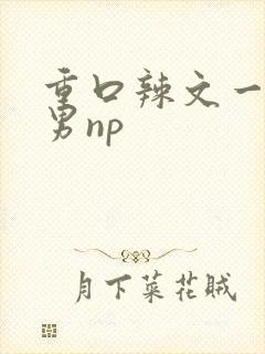 重口辣文一女n男np